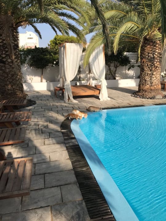 Pool Hotel Strogili