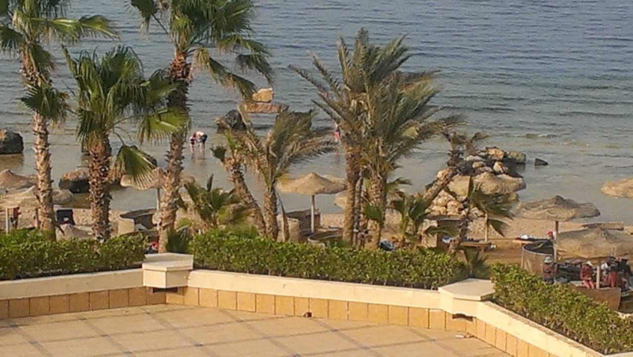 Blick vom  Balkon Pickalbatros Citadel Resort