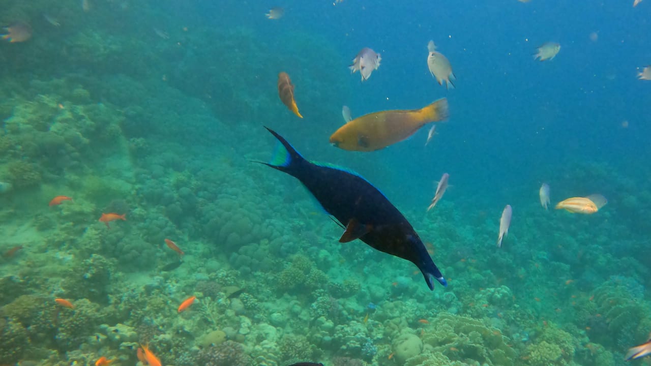 Sport & Freizeit Makadi Spa - Adults only