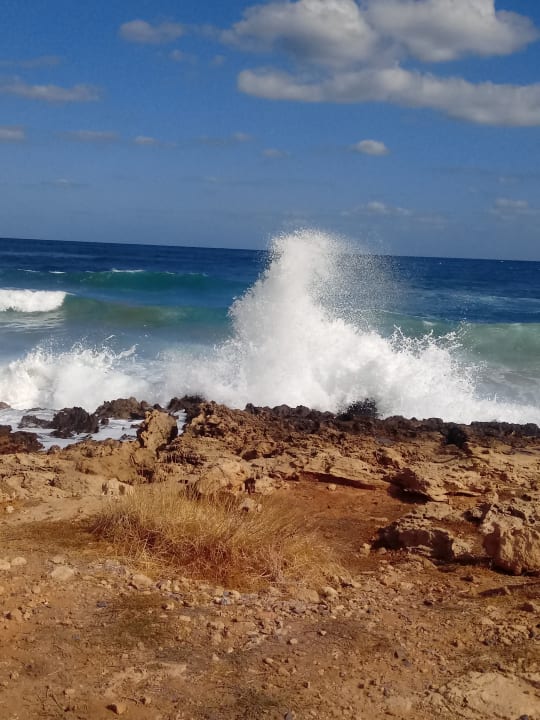 Außenansicht Cactus Beach & Village