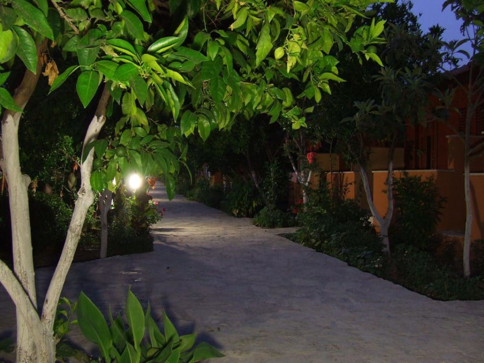 Дорожка к бунгало Özlem Garden Hotel