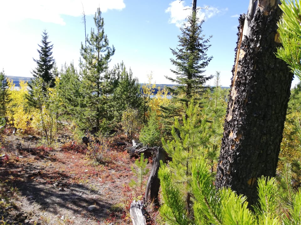 Sport & Freizeit Hotel Ten-ee-ah Lodge