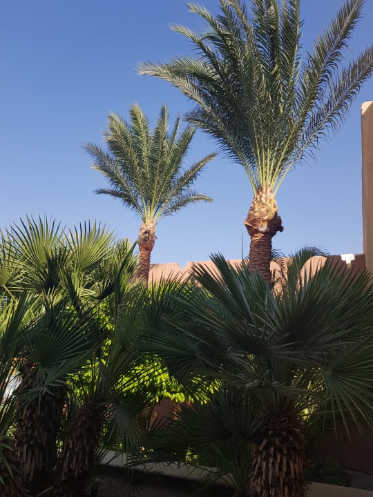 Ausblick Stella Garden Resort & Spa, Makadi Bay