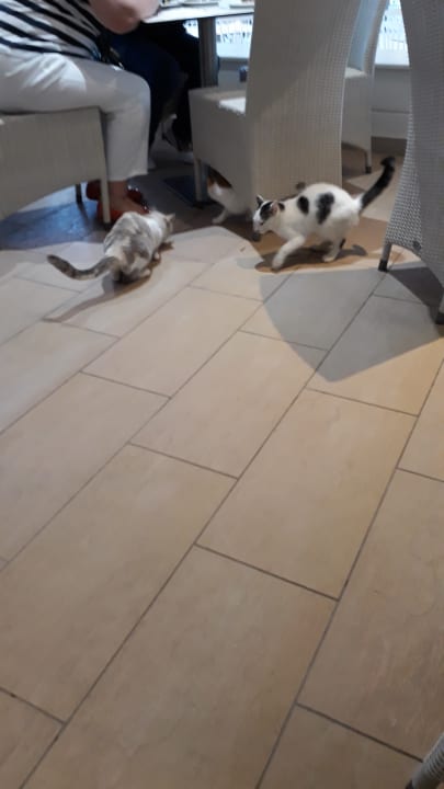 Sonstiges Olympian Bay Grand Resort