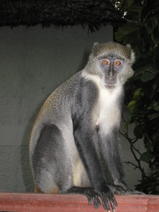 Besuch Neptune Village Beach Resort & Spa