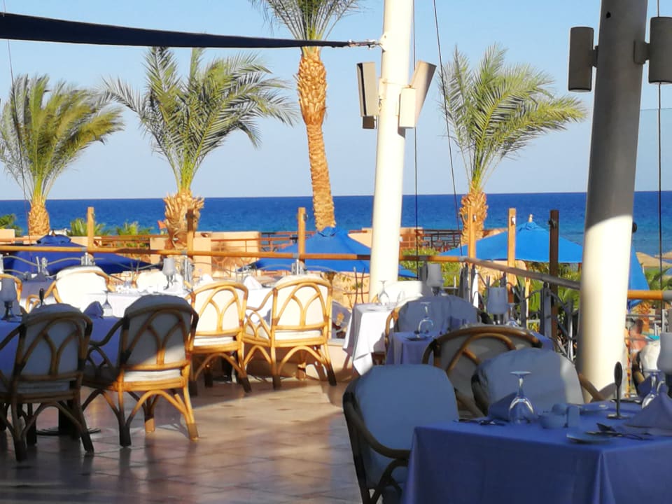 Gastro Shams Prestige Abu Soma-Adults Only