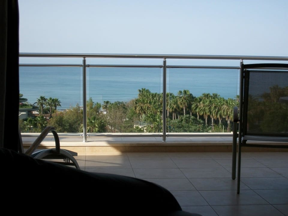 Dito Arum Barut Collection