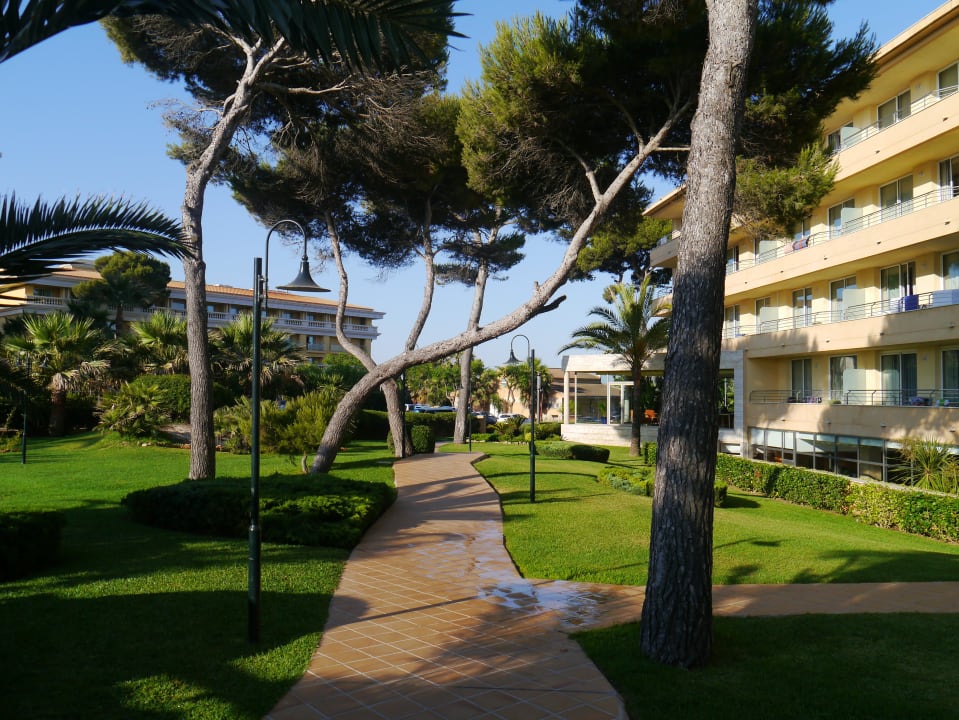 Gartenanlage Grupotel Natura Playa