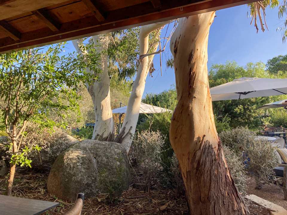 Außenansicht Hotel San Giovanni