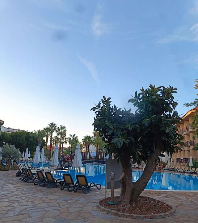 Pool Alba Resort Hotel