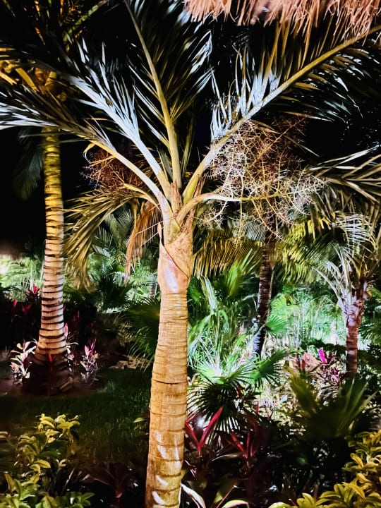 Gartenanlage Akumal Bay Beach & Wellness Resort