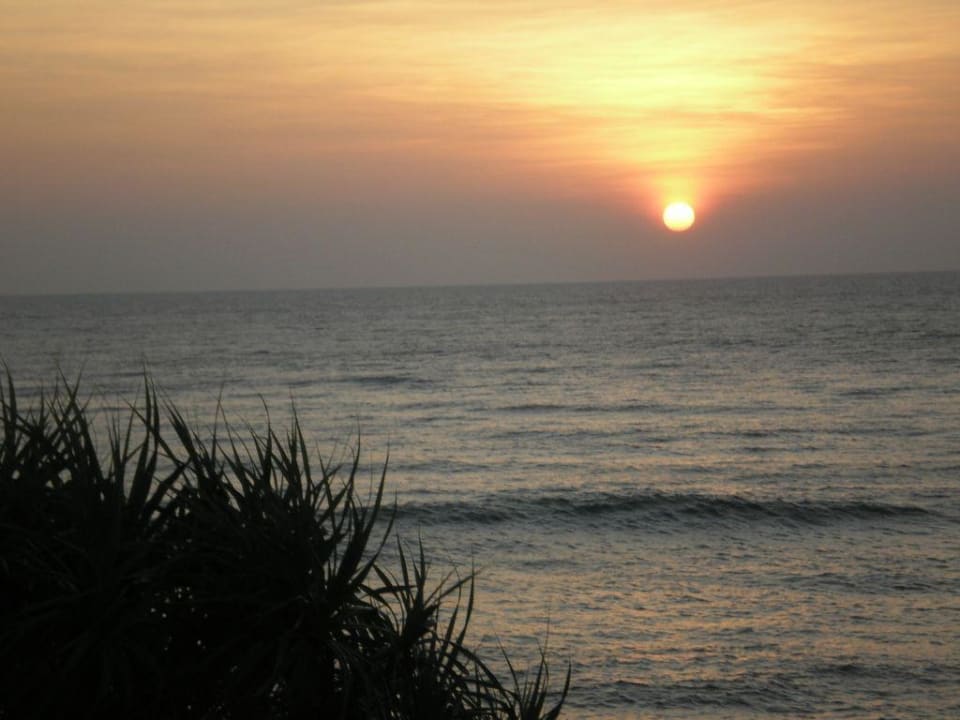 Sonnenuntergang Thaala Bentota
