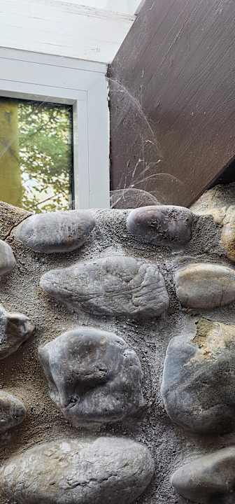 Pool Hotel Das Ludwig