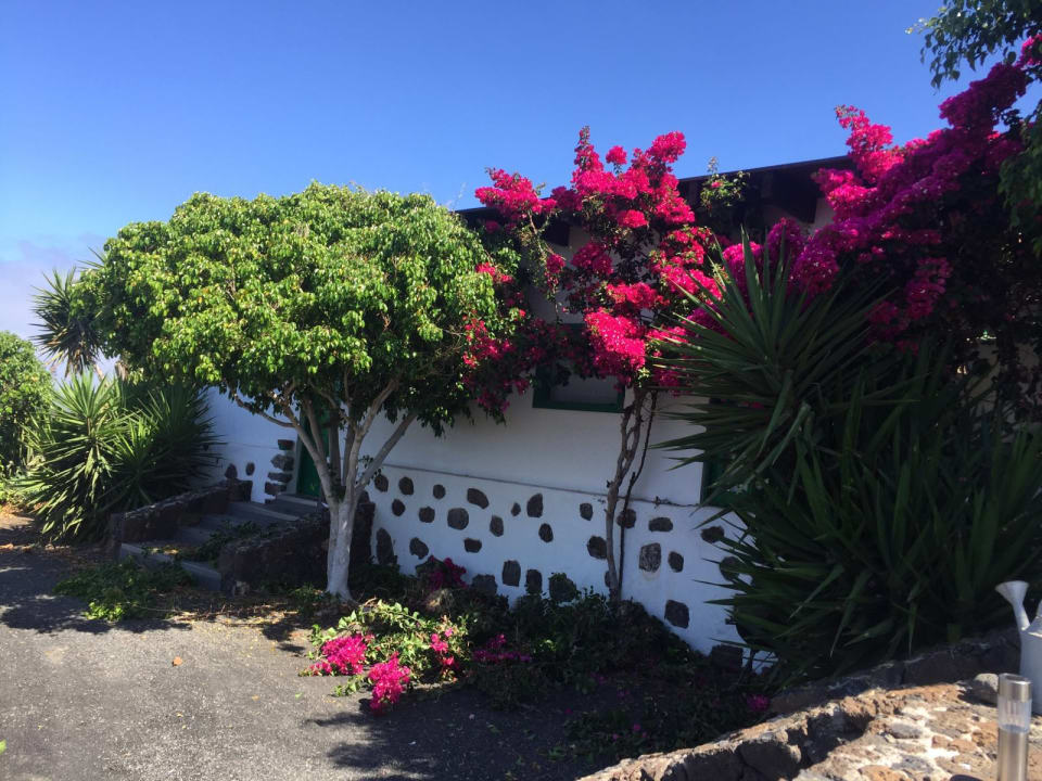 Gartenanlage Apartment Casa Las Majadas