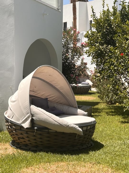 Gartenanlage Summer Village of Hippokrates - Adults only