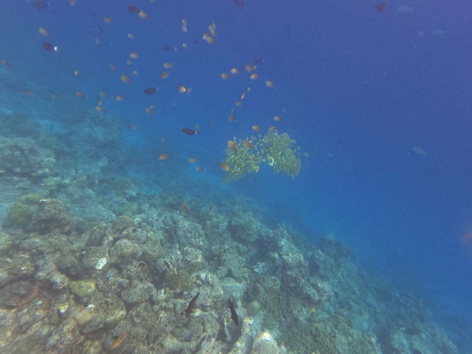 Sport & Freizeit Kuredu Island Resort & Spa