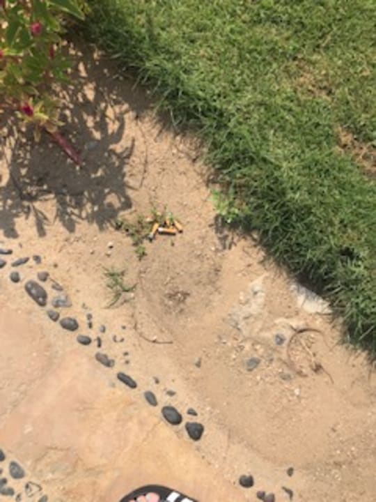 Außenansicht Mövenpick Waterpark Resort & Spa Soma Bay