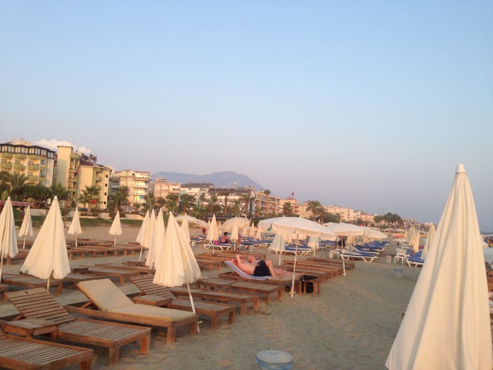 Strand vom Hotel samt Liegen Blue Diamond Alya