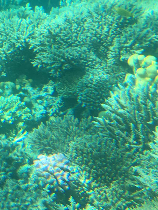 Sport & Freizeit Titanic Beach Spa & Aqua Park