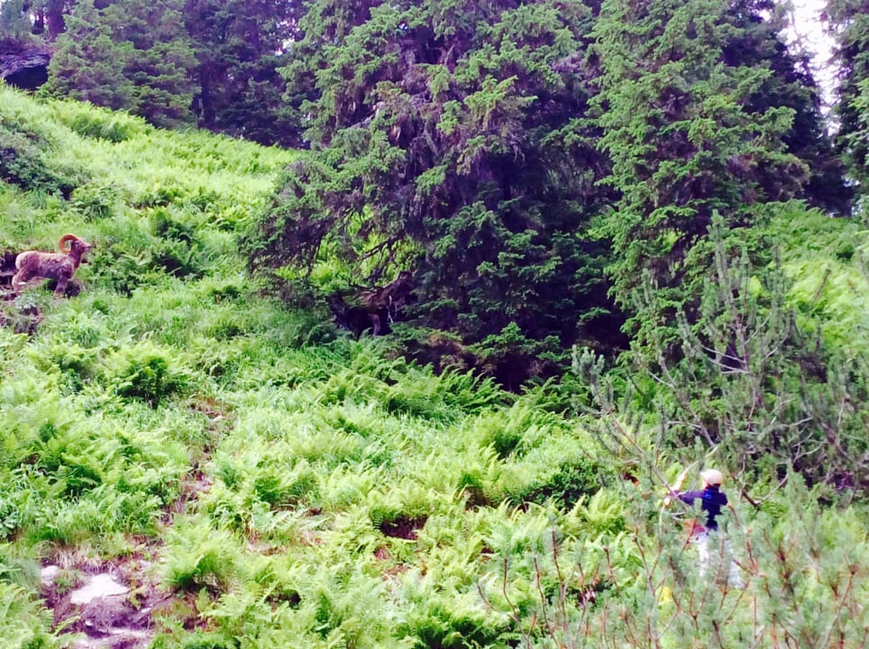 Außenansicht JUFA Hotel Planneralm
