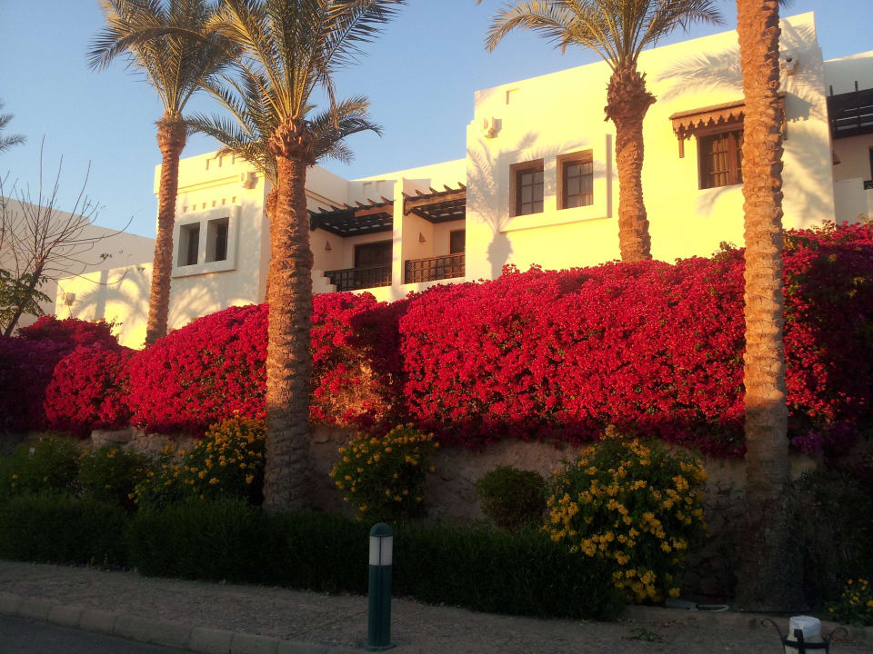 Außenanlage Sharm Plaza
