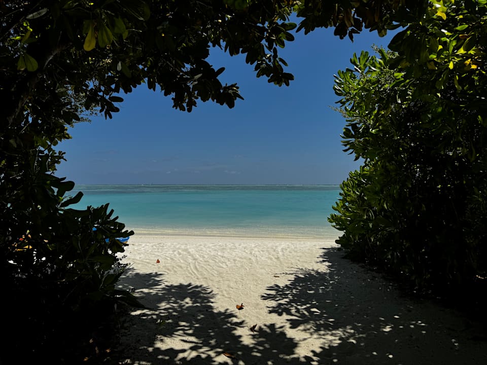 Strand Cocoon Maldives