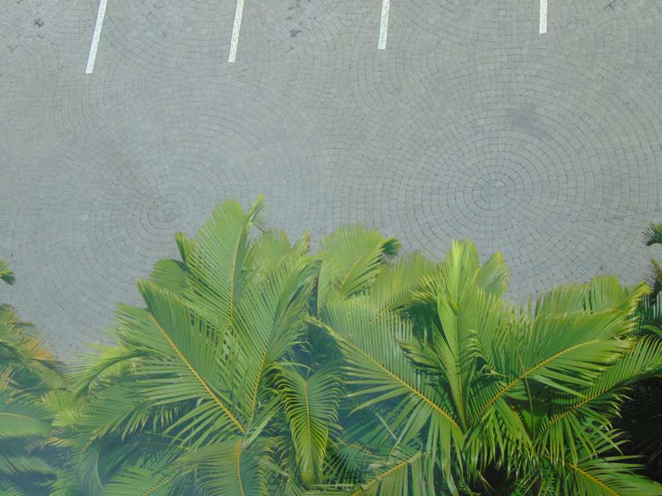 Ausblick Crowne Plaza Nairobi Airport