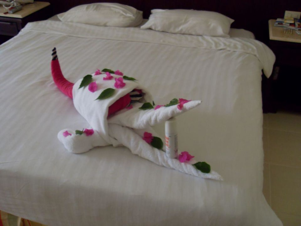 Krokodylek Serenity Alpha Beach