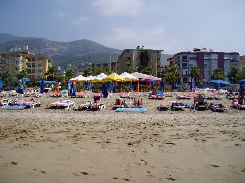 Hotel vom Strand aus Hotel Kleopatra Dreams Beach