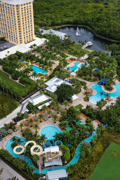 Pool Hotel Hyatt Regency Coconut Point Resort & Spa