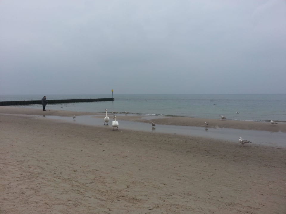 Strand San Medical SPA