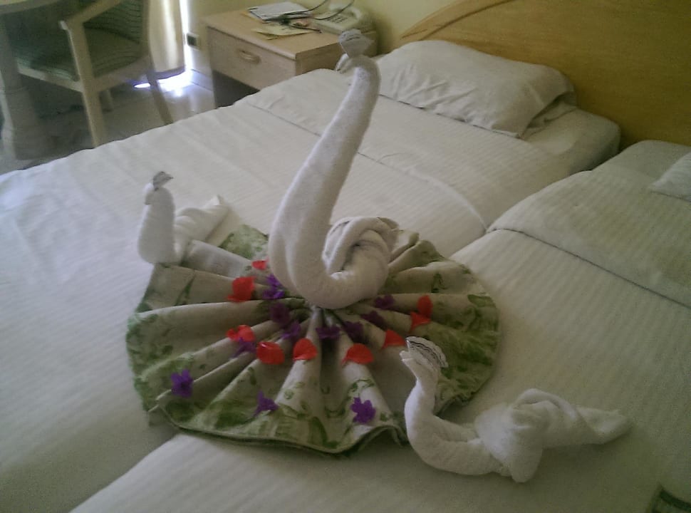 Guter Zimmerservice auch wenns kein 4* Zimmer ist  Ghazala Gardens