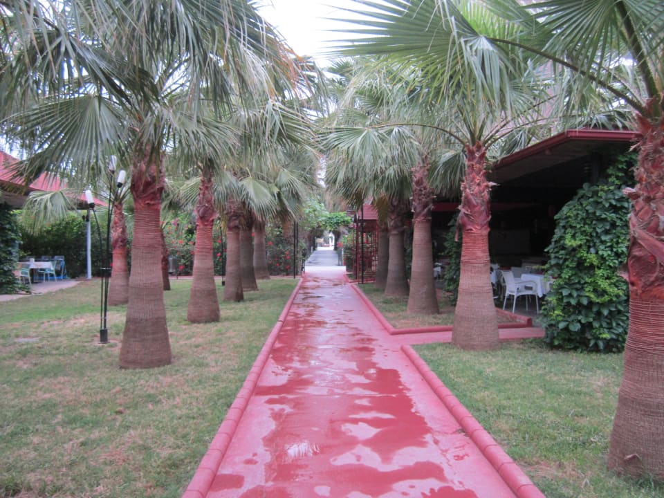 Der Weg vom Hotel bis zum Strand Hotel Royal Garden Beach