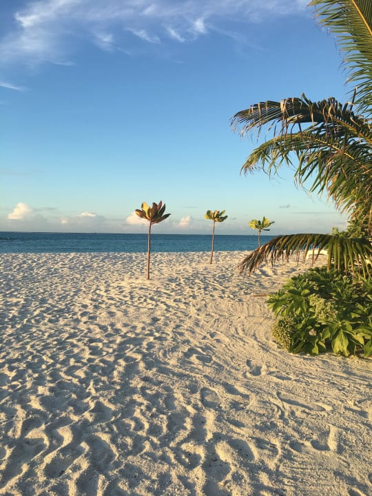 Strand Summer Island Maldives