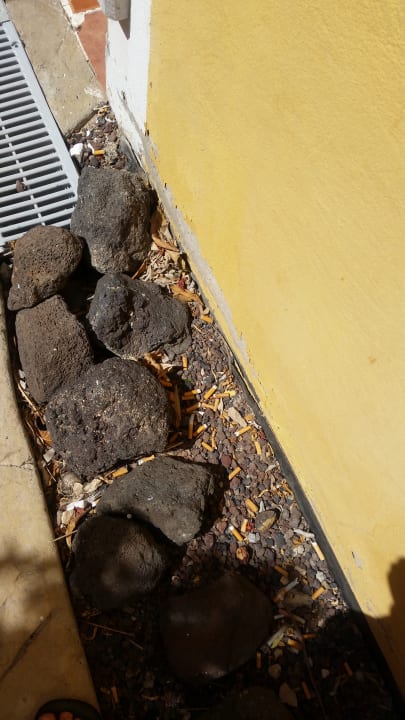 Gartenanlage AluaVillage Fuerteventura