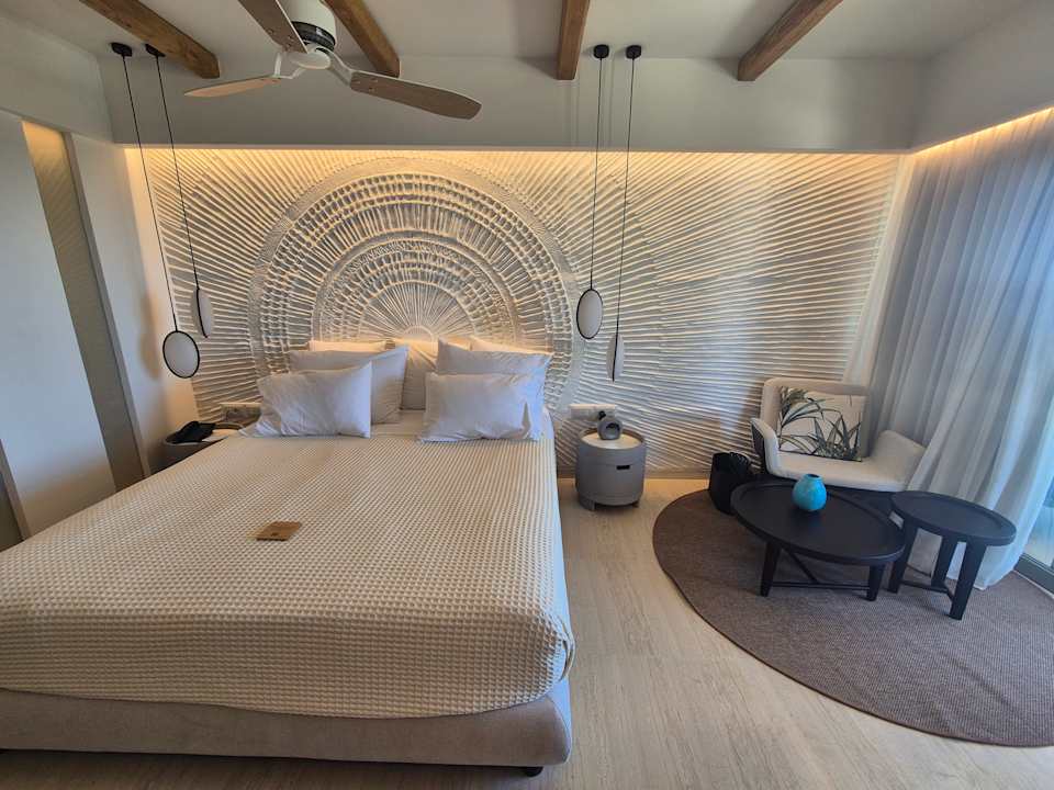 Zimmer Mitsis Selection Rinela