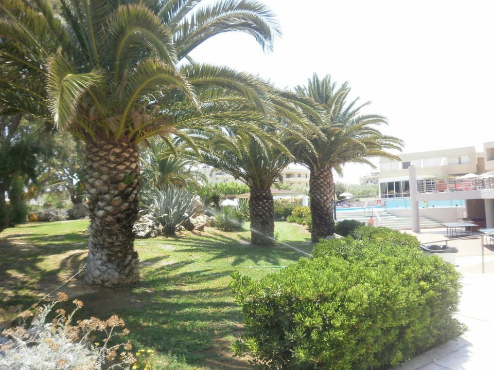 Ogród Santa Marina Beach