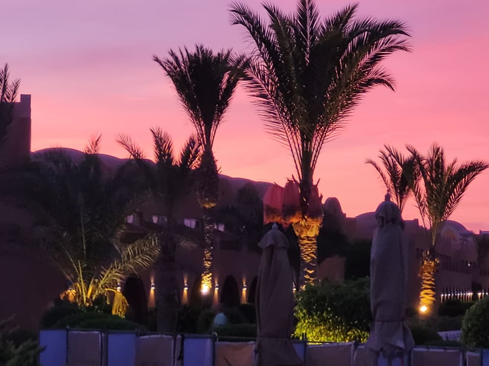 Gartenanlage Novotel Marsa Alam Beach Resort