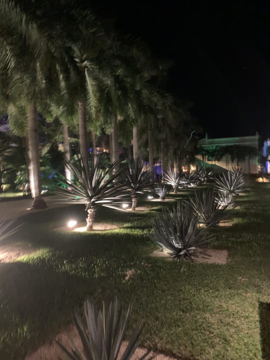 Gartenanlage Dreams Tulum Resort & Spa