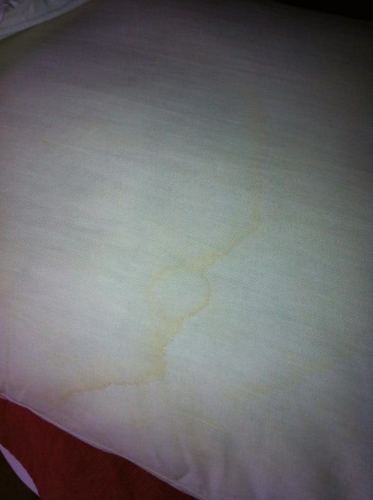 Die Decke unter dem Laken Prima Life Makadi Resort