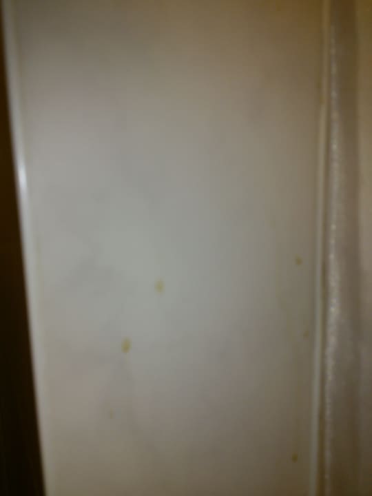 Zimmer Good Morning + Berlin City East