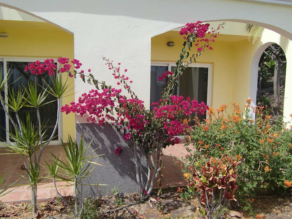Terrasse AluaVillage Fuerteventura