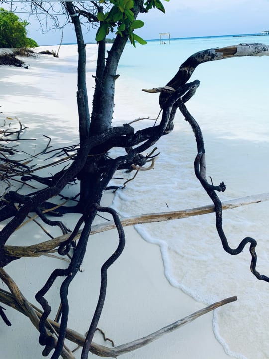 Strand ROBINSON NOONU