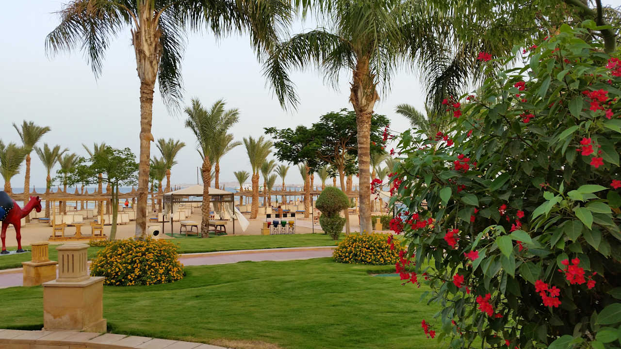 Nice time Pickalbatros Palace Resort