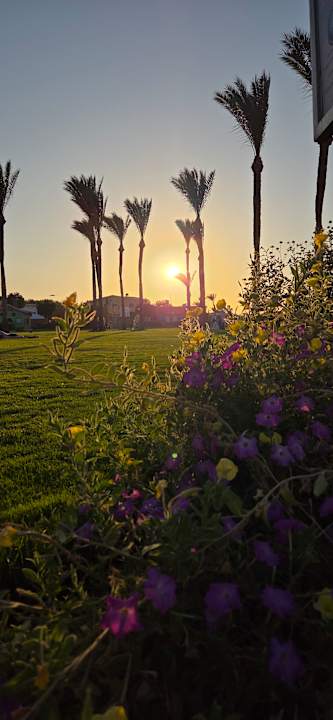 Außenansicht Stella Beach Resort & Spa Makadi Bay