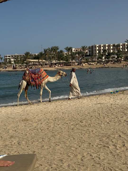 Strand Brayka Bay Resort