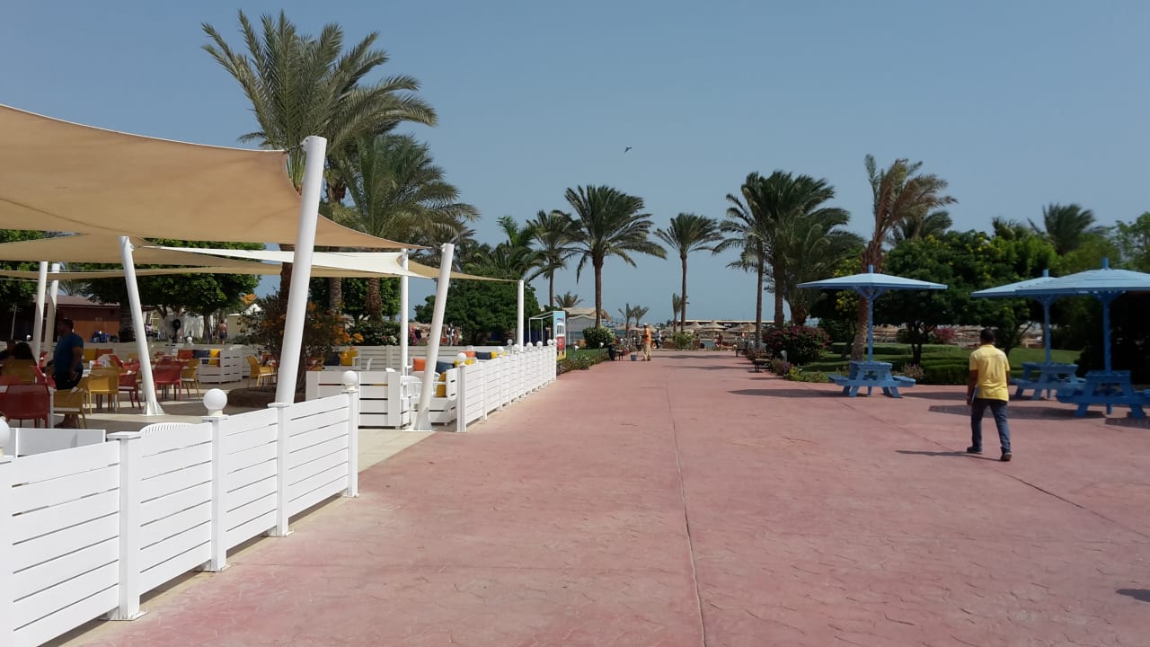 Außenansicht Desert Rose