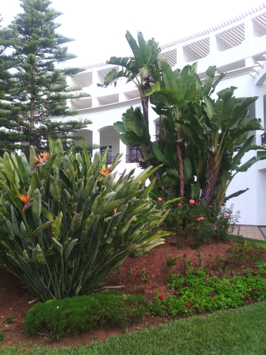 Außenansicht Iberostar Waves Founty Beach