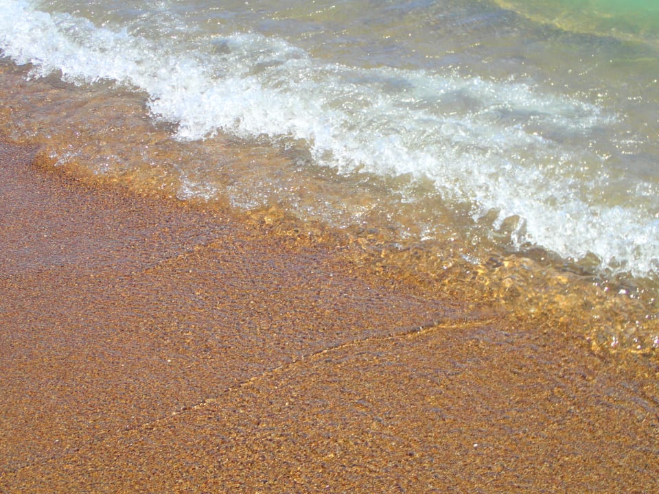 Strand Royal Seginus