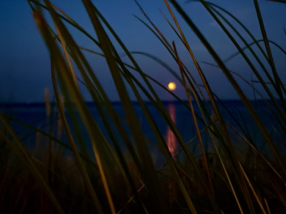 Gartenanlage Hotel Strand am Königshafen